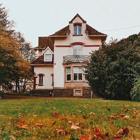 La Maison Du Markstein Linthal 外观 照片